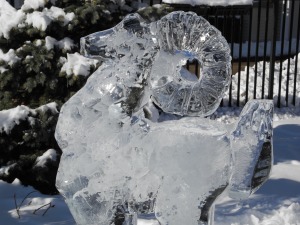 ice sculpture-ram